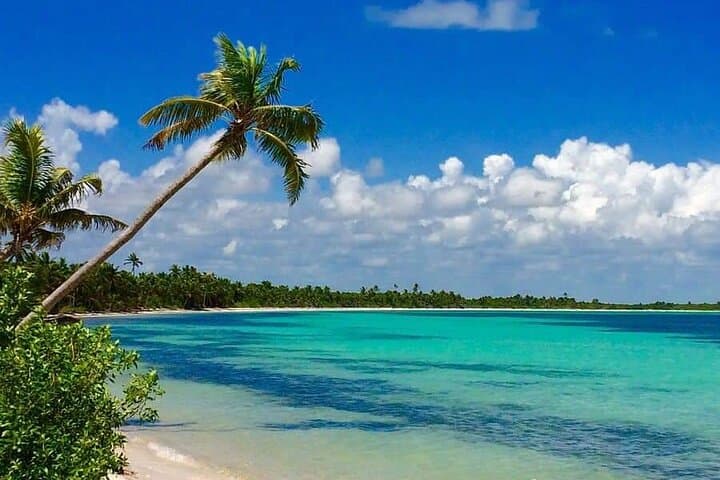 Full-Day Sian Ka'an Biosphere Boat Tour from Tulum — Snorkel, Dolphins & Beach Lunch photo 2