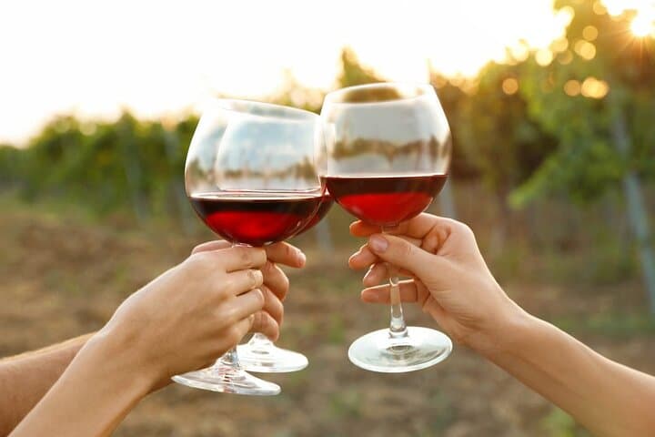 Canandaigua Wine Trail Experience: Guided Finger Lakes Winery Tour and Tastings photo 3