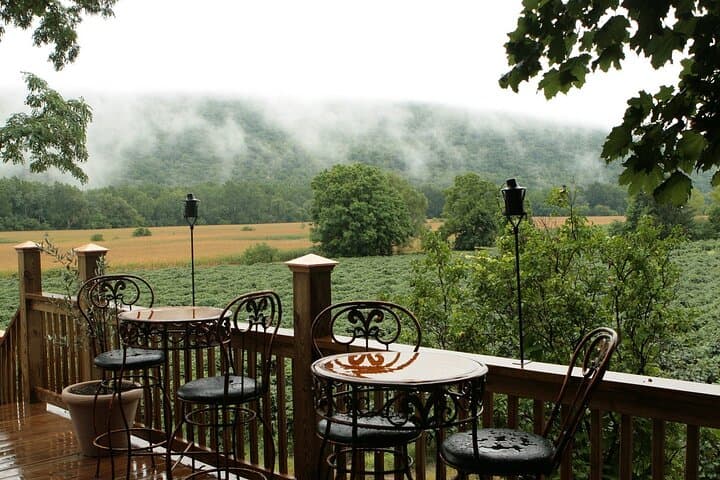 Canandaigua Wine Trail Experience: Guided Finger Lakes Winery Tour and Tastings photo 4