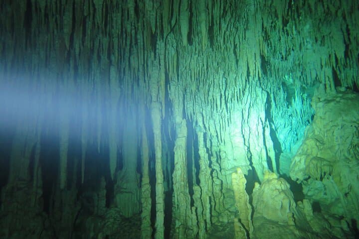 Three-Day Cenote Diving Adventure in the Riviera Maya photo 3