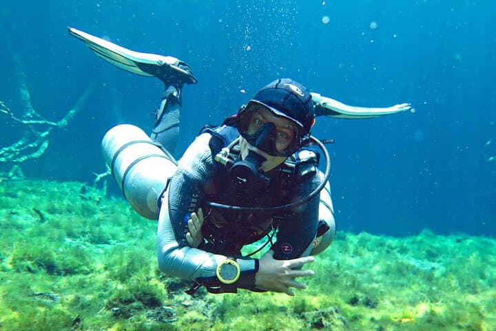 Three-Day Cenote Diving Adventure in the Riviera Maya photo 4