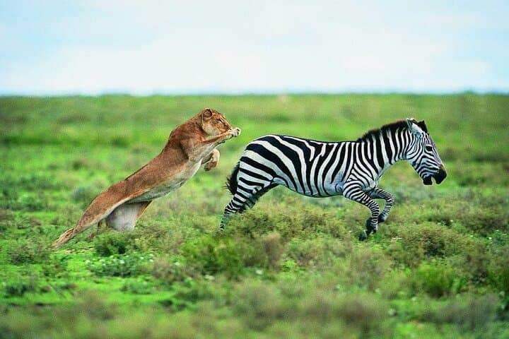 4-Day Camping Safari: Arusha to Tarangire, Serengeti & Ngorongoro photo 3