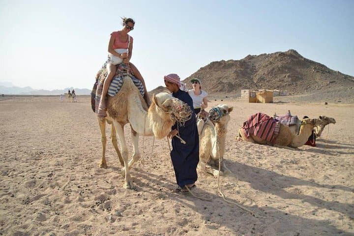 Sinai Super Safari: Quad, Camel Ride, Bedouin Dinner & Star Gazing photo 3