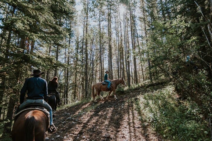 Ridge Ride: 2-Hour Horseback Trail Above Kananaskis Valley photo 3