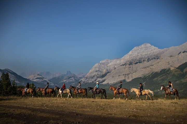 Ridge Ride: 2-Hour Horseback Trail Above Kananaskis Valley photo 5