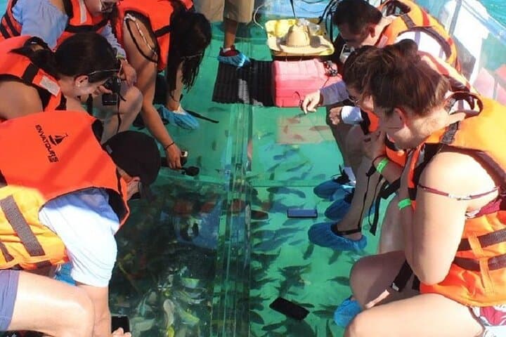 Cabo Clear Boat Tour: See El Arco, Land's End, Pelican Rock & Lovers Beach photo 3