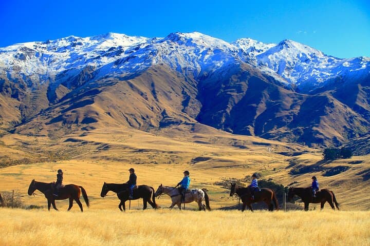 Cardrona High Country Pub Trail: High-Altitude Horse Trek with a Pub Stop photo 3