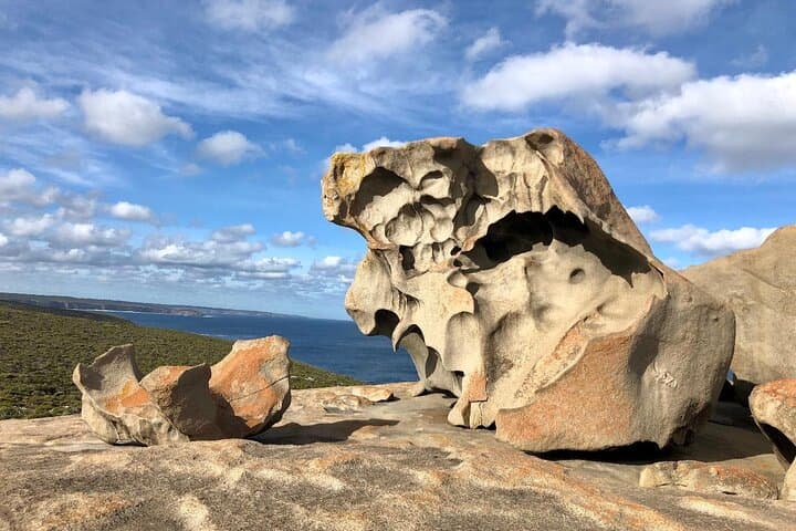 Kangaroo Island in 2 Days: Small-Group 4WD Wildlife Adventure photo 2