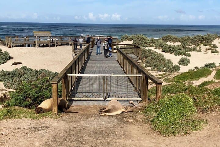 Best of Kangaroo Island: Small-Group 4WD Wildlife and Wonders Tour photo 2