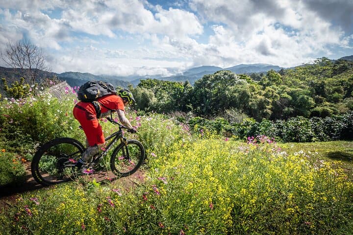Thriller Trail Mountain Biking Tour from Chiang Mai — Doi Pa Klong Singletrack Adventure photo 3