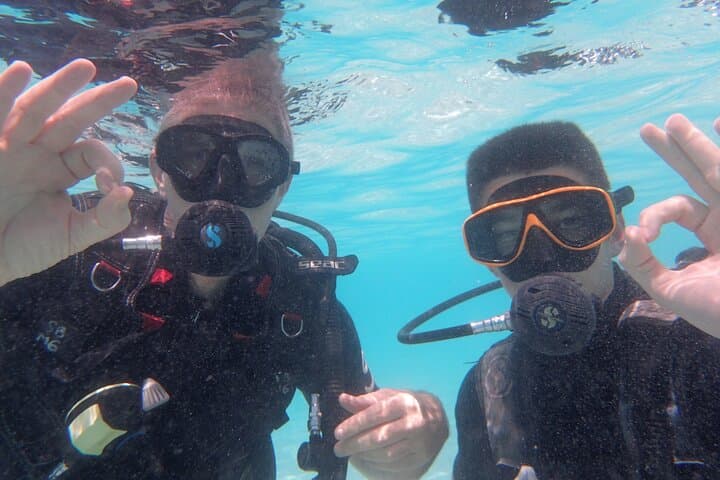 PADI Open Water Diver Course Koh Samui & Koh Tao — 3-Day Certification in the Gulf of Thailand photo 4