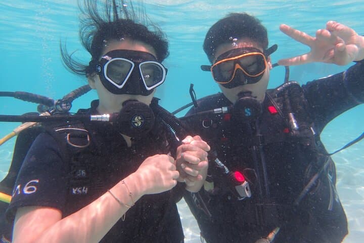 2-Day Koh Tao Diving Trip — 4 Dives, Shipwrecks & Overnight Stay photo 6