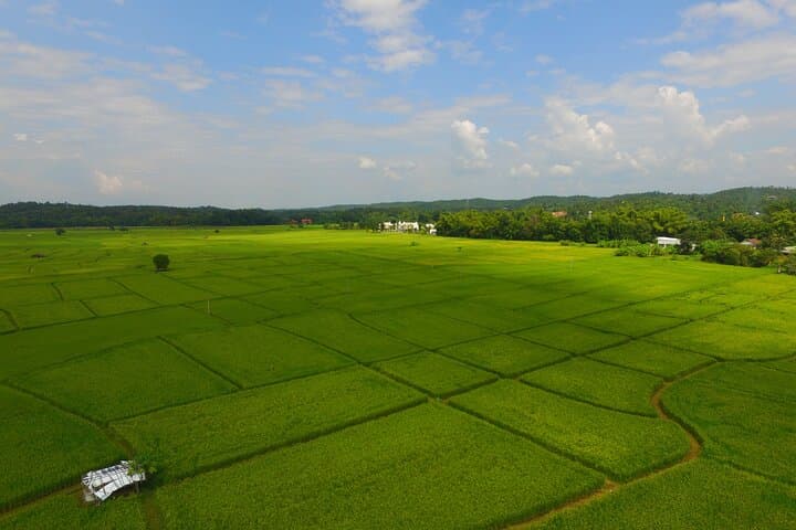 Fields of Gold: Chiang Mai Mountain Biking Through Lanna Rice Country photo 4