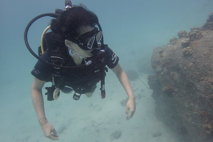 PADI Scuba Diver Course on Koh Tao — 2-Day Beginner Certification with Accommodation photo 4
