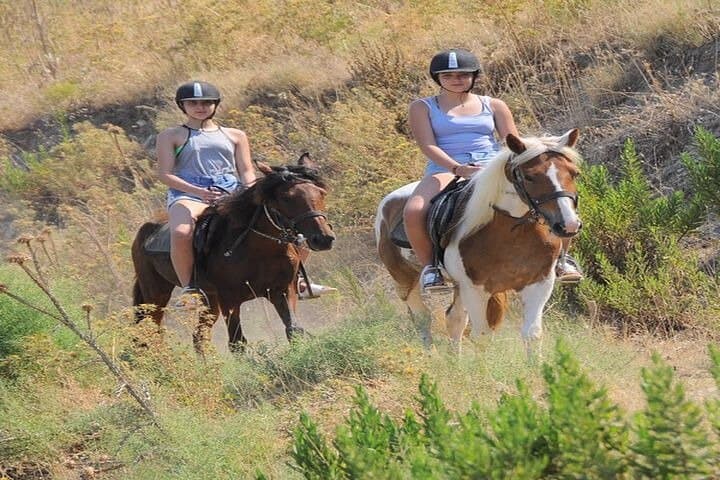 Pamucak Horse Riding Safari: Pine-Forest Trails & Kusadasi Views