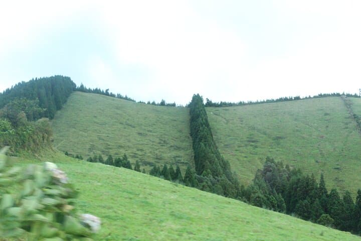 Half-Day Jeep Tour to Lagoa do Fogo from Ponta Delgada — 4WD Trails and Caldeira Views photo 5
