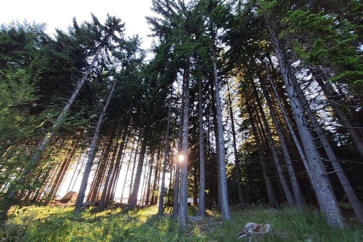 Two-Day Private Vitosha Adventure from Sofia — Hike Cherni Vrah and Tandem Flight photo 5