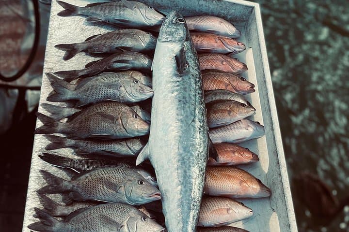 Clearwater Beach Half-Day Inshore & Nearshore Fishing Charter photo 2