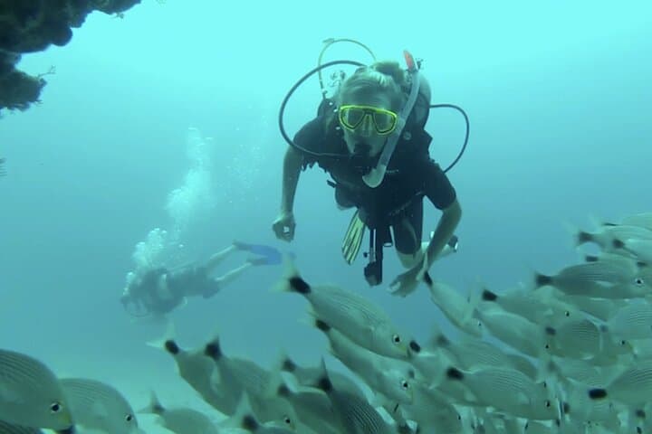 Marietas Islands Certified Diving: Two-Dive Excursion from Sayulita photo 2