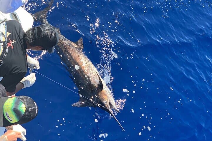 Private Full-Day Deep-Sea Fishing Charter off Oahu — Marlin, Ahi & Mahimahi photo 5