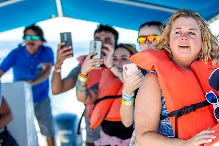 Cabo San Lucas Glass-Bottom Whale Watching Cruise & Tequila Tasting photo 3
