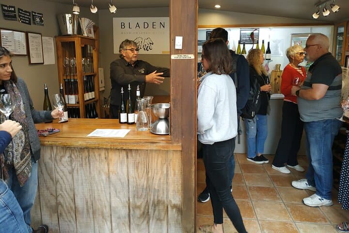 Marlborough Afternoon Wine Tour — 4-Hour Cellar Door Cuisine & Tastings photo 6