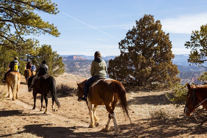 Ruby's Horseback Adventures: 1.5‑Hour Guided Horseback Ride Near Bryce Canyon photo 6