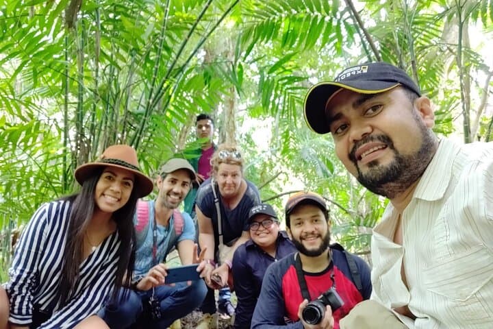 Tikal Day Tour by Air: One-Day Shared Flight from Guatemala City photo 4
