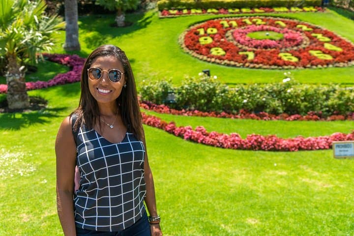 Valparaíso & Viña del Mar: UNESCO Hills, Sea Lions and Flower Clocks photo 3