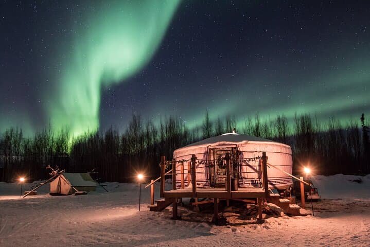 Fairbanks Dog Sledding & Aurora Viewing: Night Mush from a Yurt