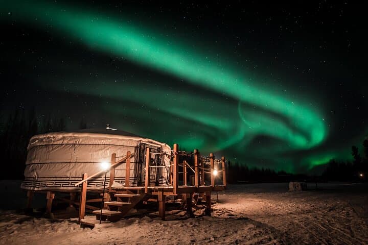 Fairbanks Dog Sledding & Aurora Viewing: Night Mush from a Yurt photo 4