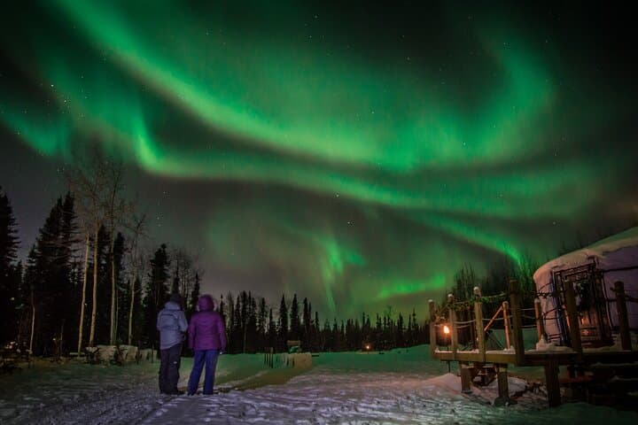 Fairbanks Dog Sledding & Aurora Viewing: Night Mush from a Yurt photo 5
