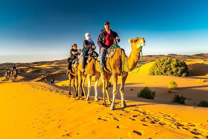 Overnight Camel Trek in Merzouga: Erg Chebbi Desert Camp & Sunset Ride photo 4