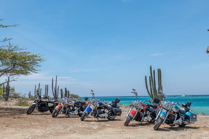 Harley-Davidson Guided Island Tour Aruba — Coastal Ride to Baby Beach, Lighthouse & North Coast Views photo 6