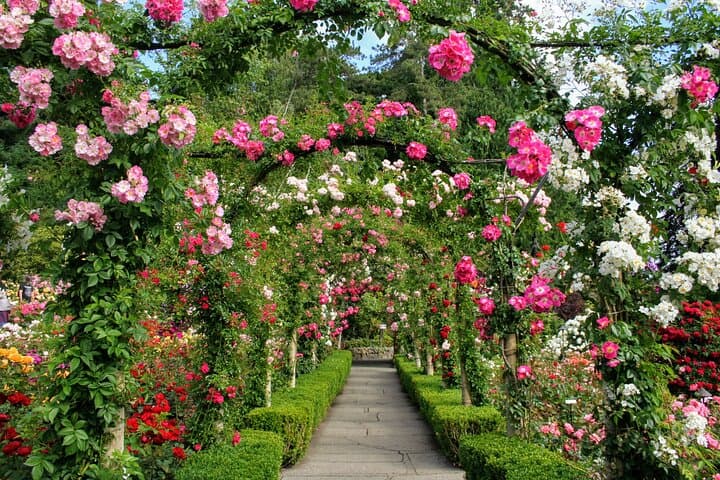 Private Butchart Gardens & HCP Tour — Early-Arrival Garden Experience in Victoria