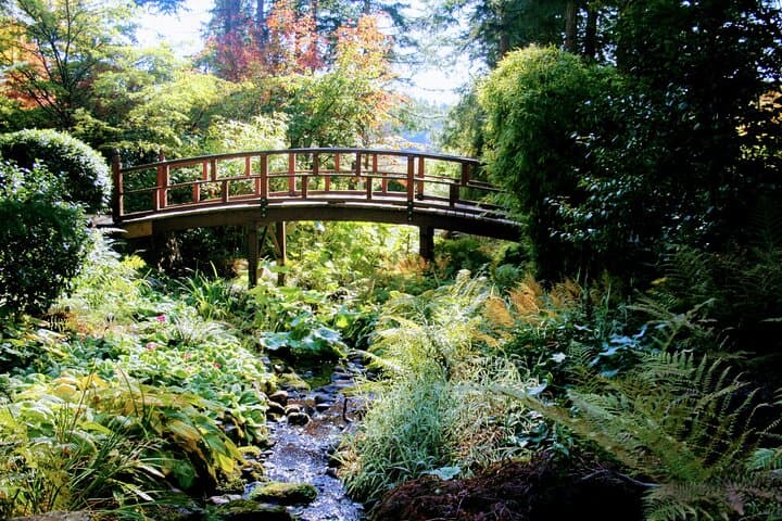 Private Butchart Gardens & HCP Tour — Early-Arrival Garden Experience in Victoria photo 6