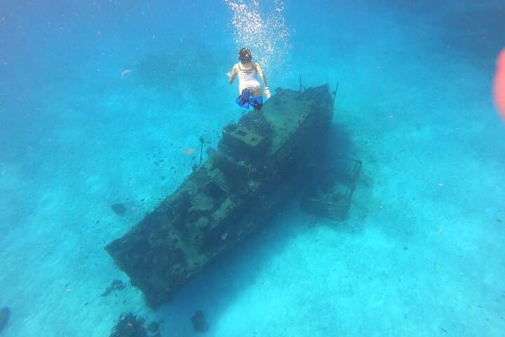 Cozumel El Cielo Snorkel Tour: Glass-Bottom Boat, Shipwrecks & South-Island Reefs (4-Hour)