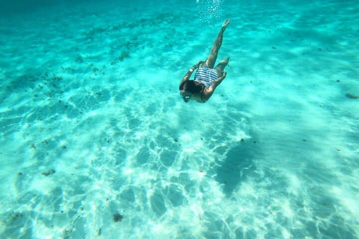Cozumel El Cielo Snorkel Tour: Glass-Bottom Boat, Shipwrecks & South-Island Reefs (4-Hour) photo 3