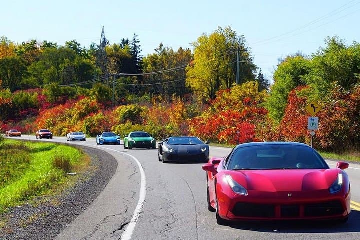 Drive Supercars Through Niagara Wine Country: 3-Hour Exotic Car Tour photo 3