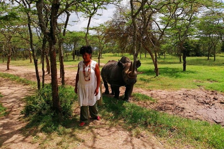 Day Safari to Ol Pejeta Conservancy: Rhino Encounters and Mt. Kenya Views photo 3
