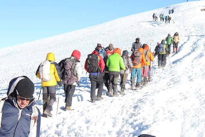 Lemosho Route: 8-Day Kilimanjaro Climb to Uhuru Peak photo 3
