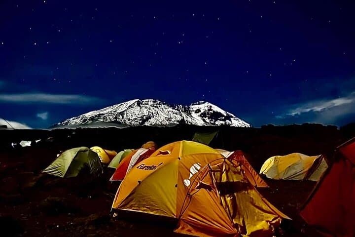 Lemosho Route: 8-Day Kilimanjaro Climb to Uhuru Peak photo 5