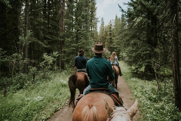 Ridge Ride: 2-Hour Horseback Trail Above Kananaskis Valley photo 6