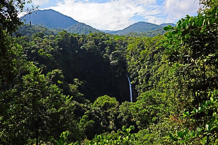 Half-Day Arenal Volcano Hike & La Fortuna Waterfall Tour — Swim, Lunch & Rainforest Walk photo 6