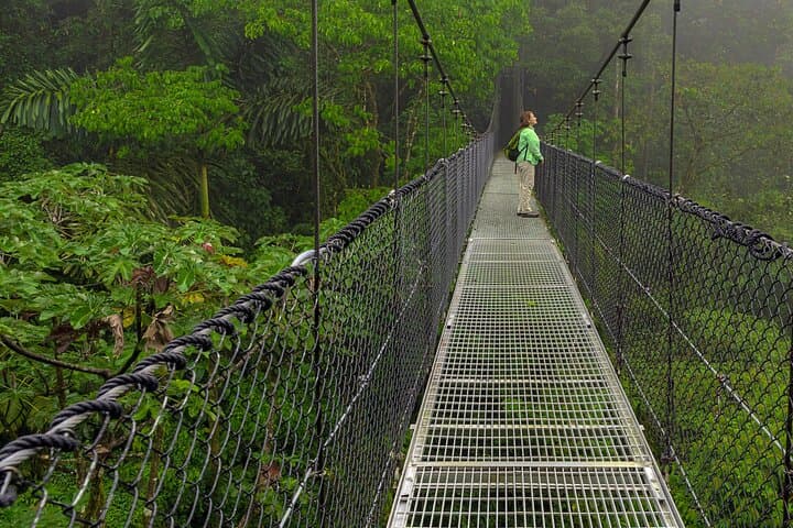 Arenal Hiking Trio: Hanging Bridges, La Fortuna Waterfall & Volcano Trails photo 3