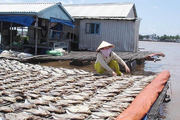 Mekong Delta 3-Day River Tour: Cai Be to Chau Doc via Can Tho photo 5