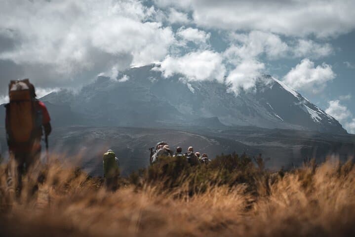 Conquer Kilimanjaro: 6-Day Lemosho Route Guide photo 5