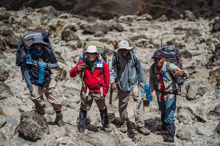 Kilimanjaro Lemosho Route 7-Day Climb — Summit Uhuru Peak from Moshi photo 6