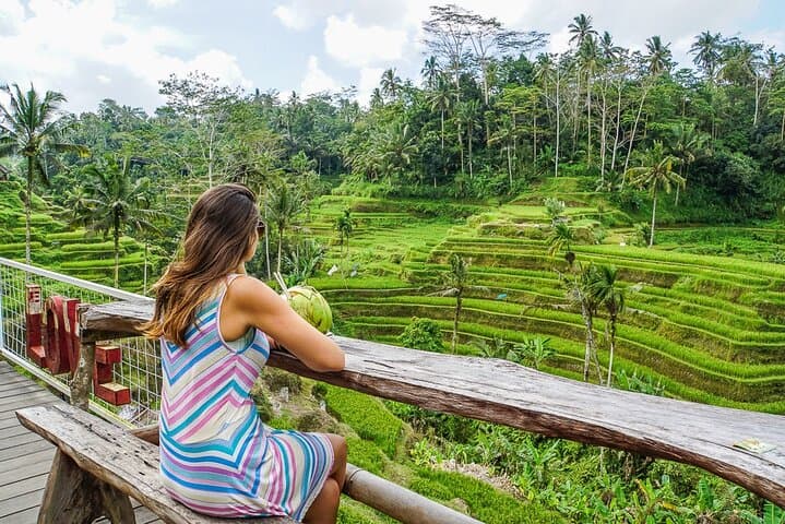 Ubud Full-Day: Tegenungan Waterfall, Tegalalang Rice Terraces & Goa Gajah Private Tour photo 3