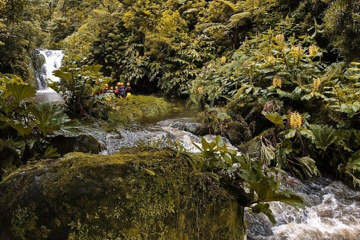 Canyoning Ribeira da Salga — Waterfall Rappels & Cliff Jumps on São Miguel photo 2